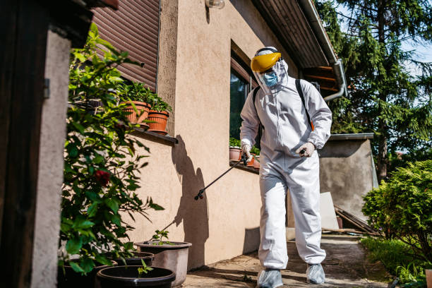 Bird Control in Laurel, DE