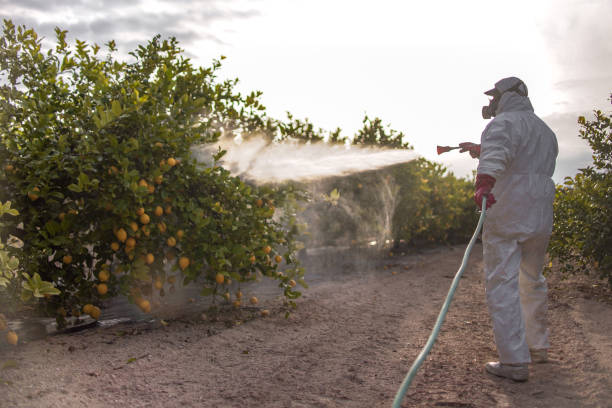 Pest Prevention Services in Laurel, DE