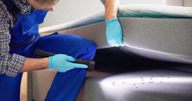 Best Residential Pest Control  in Laurel, DE