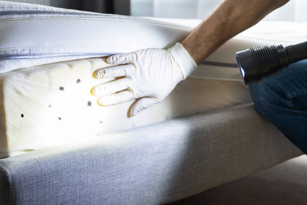 Best Pest Inspection Near Me  in Laurel, DE