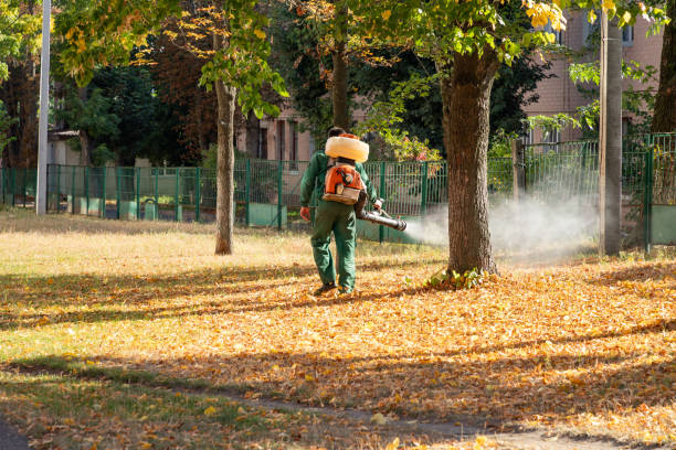 Best Wasp Removal Services  in Laurel, DE