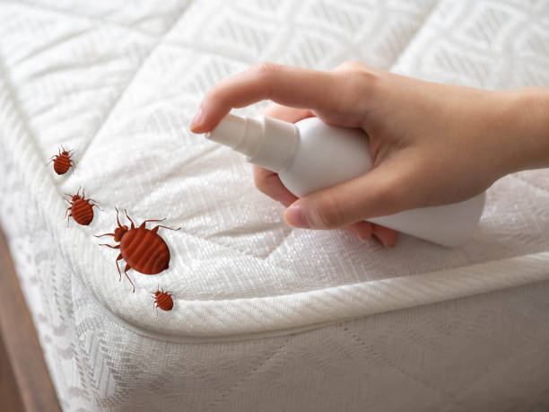 Best Affordable Pest Control Services  in Laurel, DE